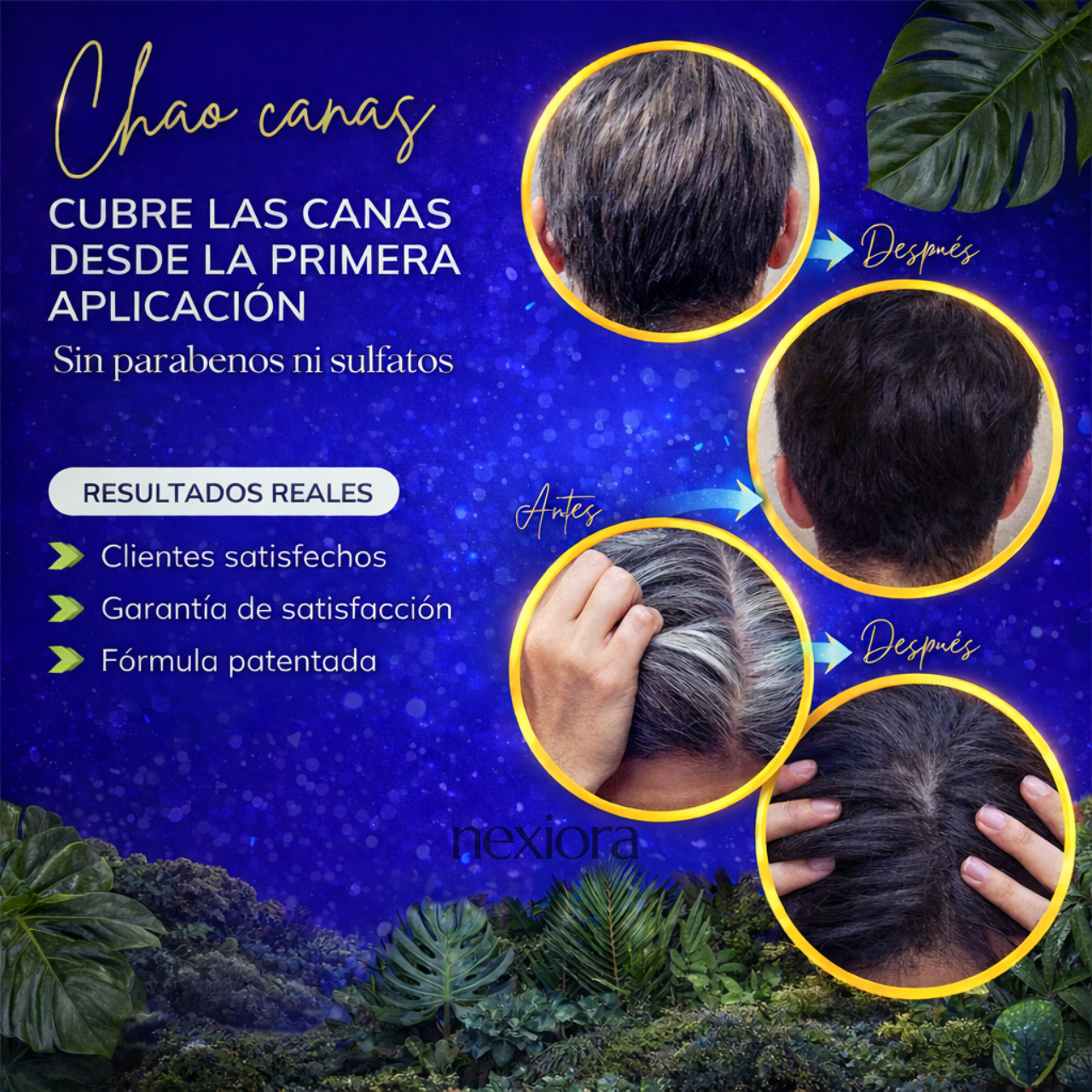 SHAMPOO CHAO CANAS +TRATMIENTO